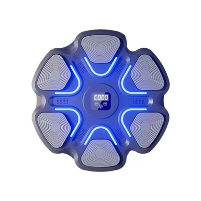 ElectronicBoxingTarget