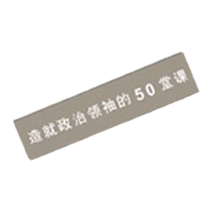 新君王论:造就政治领袖的50堂课 蔡子强 著 现代政治人物必须适应现代化的政治环境 书籍 理想国