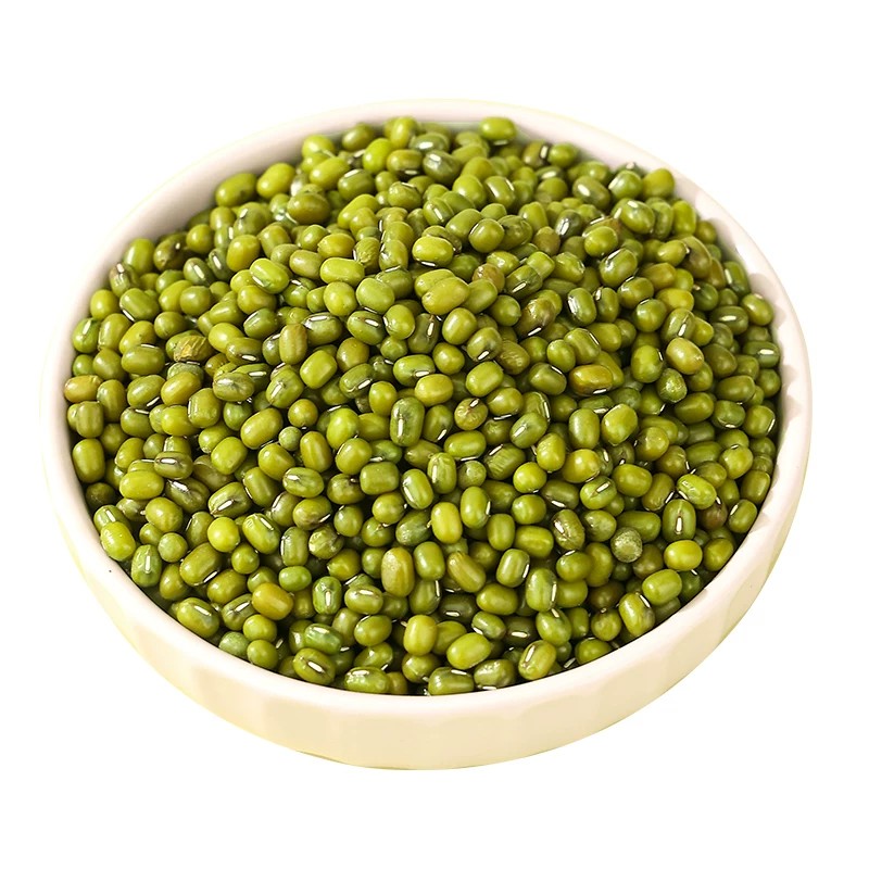 东北绿豆新货优质可发芽大颗粒