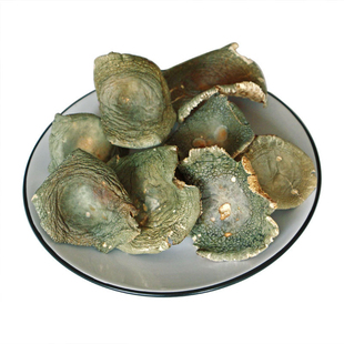 青头菌干货500g青头菇云南特产野生菌香菇蘑菇类新鲜无硫煲汤食材