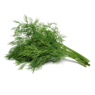 老一特卖 新鲜莳萝草 Dill刁草 土茴香 莳罗 250g