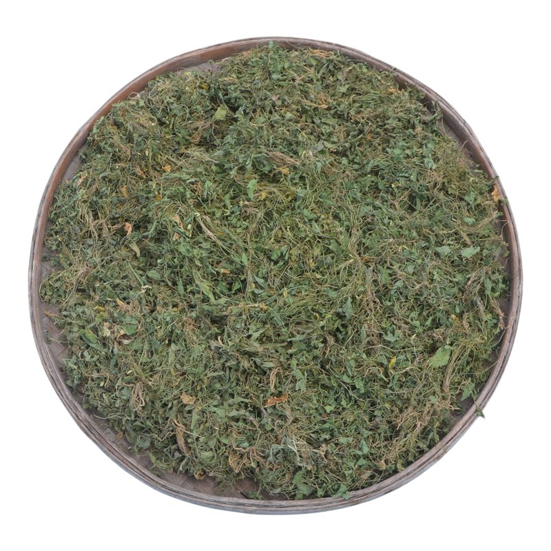 犁头草新鲜紫花地丁农家新货晒干