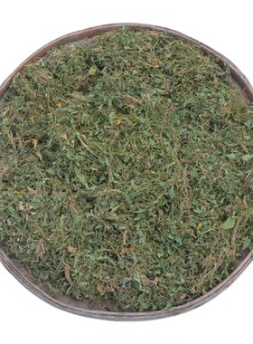 犁头草新鲜紫花地丁农家新货晒干