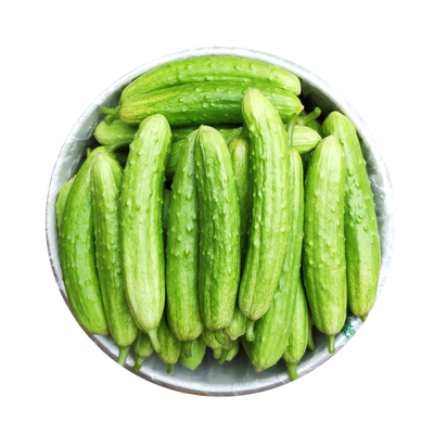 上午采摘下午发货白玉黄瓜脆甜鲜