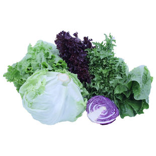 【槿馐】新鲜沙拉蔬菜4斤 混合6种生菜组合 轻食沙拉食材代餐菜包