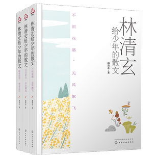 正版 全3册 林清玄给少年的散文 大字版畅销书作家经典书籍作品10-15-18岁青少年中小学生课外阅读当代文学中高考语文提高畅销图书