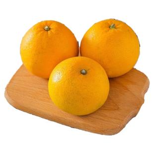 常山胡柚新鲜装大果正宗老树微苦精品包邮农家基地现货多汁浙江