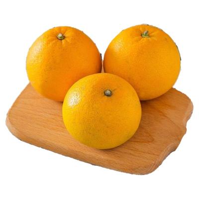 常山胡柚装大果新鲜邹记微苦