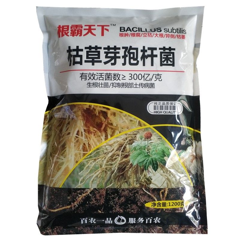 牙包病害专用枯草芽孢杆菌