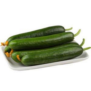 无刺水果黄瓜种子嫁接黄瓜苗水果黄瓜种籽小乳瓜子种四季蔬菜卡宴