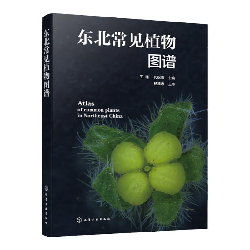 东北常见植物图谱 常见植物便携式百科全书 野外识别常见植物鉴别图册鉴定常见植物工具书植物奥秘植物志科种属种检索表速查一本通