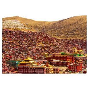 成都到九寨沟川西稻城亚丁色达鱼子西毕棚沟若尓盖川藏旅游包车