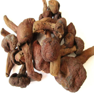 2025年新货朝阳特产野生红蘑菇干货自然晒整颗东北松树伞蘑菇香菇