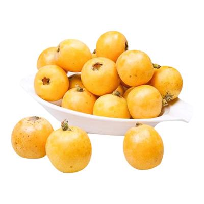 【顺丰秒发】爆甜！东山白玉枇杷