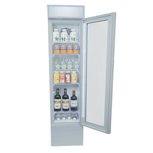 冰星超窄薄冰柜细长冰箱正面宽36cm商家用小型饮料冷藏冷冻展示柜