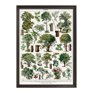 kibifufu拼图成人版1000片植物图鉴带框治愈解压益智玩具生日礼物