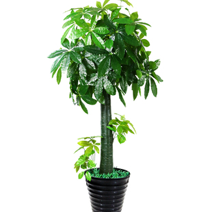 假花盆栽假树仿真树客厅大型落地发财树塑料室内装饰仿真植物盆景