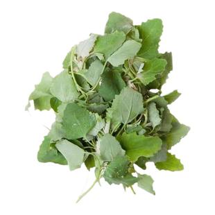 灰灰菜 新鲜野菜 纯野生灰条菜 农家现摘现发 儿时野菜顺丰包邮