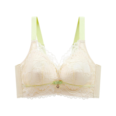 猫人内衣女大胸显小胸聚拢收副乳