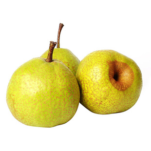 山东特产莱阳梨茌慈梨当季新鲜孕妇水果批发酥脆梨子整箱4.5斤