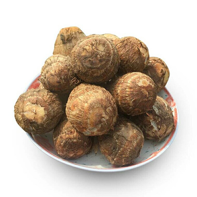 农家自种时令蔬菜现挖湖北毛芋头