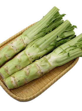 蔬菜四川秋季特大种籽