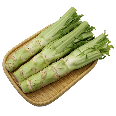蔬菜四川秋季特大种籽