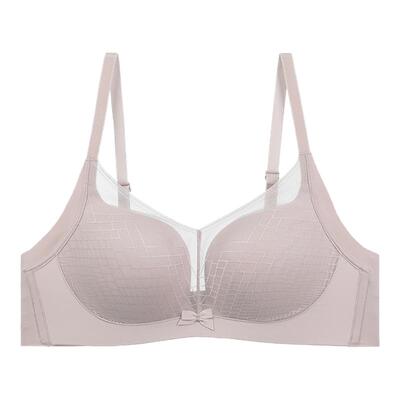 文胸安莉芳网纱E－BRA上托甜美