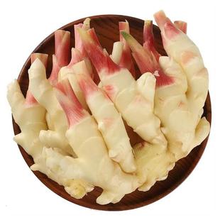 现挖山东红芽嫩姜新鲜5斤鲜姜子姜生姜泡姜芽腌制蔬菜农家嫩仔姜
