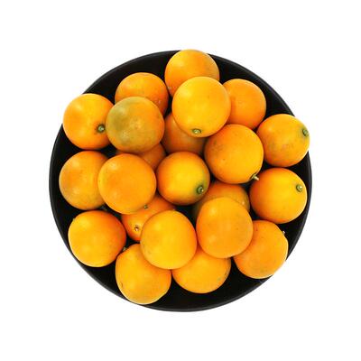 正宗融安脆蜜金桔/礼盒装/发顺丰