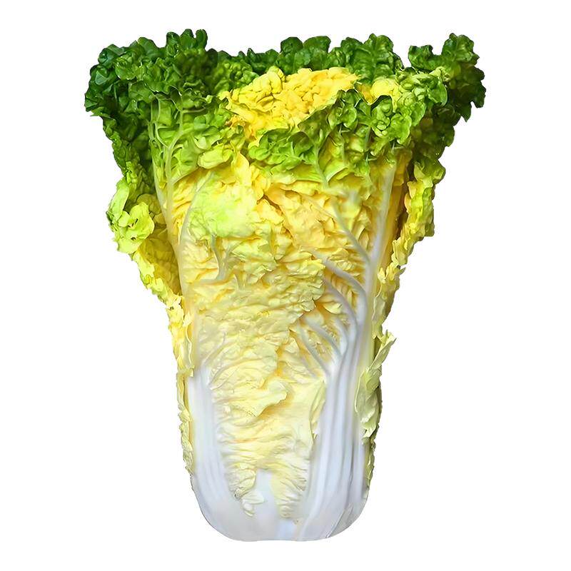 方震四季高产鸡蛋黄大白菜种子