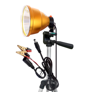 12V蓝光钓鱼灯头200WT夜钓灯大光圈9核大功率大功率LED黄光电瓶外