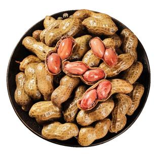 五香卤汁煮花生香辣大颗粒真空装卤味花生即食下酒菜水煮带壳花生