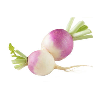 蔬菜种子 紫圆蔓菁 圆根盘菜 芜菁种子 家庭菜园种植菜籽