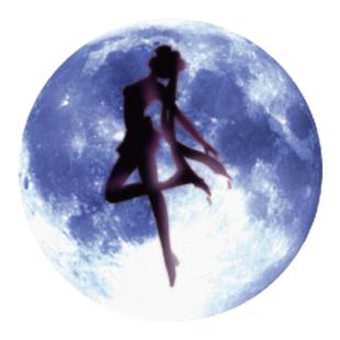 TLP反光贴 美少女战士 月野兔 月亮变身 Sailor Moon多用防水贴纸