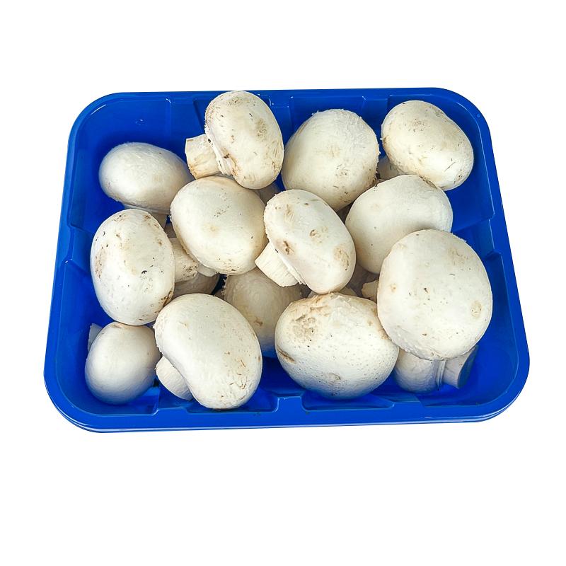 新鲜蘑菇2盒 230g/盒 口蘑 食用菌菇 白蘑菇 口菇 煲汤炒菜蔬菜