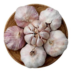 网兜装大蒜 干蒜 多瓣紫皮白皮蒜非独头蒜腊八蒜 腌制腊八蒜250g