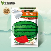 Super Sweet Lazy Melon 200 оригинальных гибридов, простота посадки и ухода