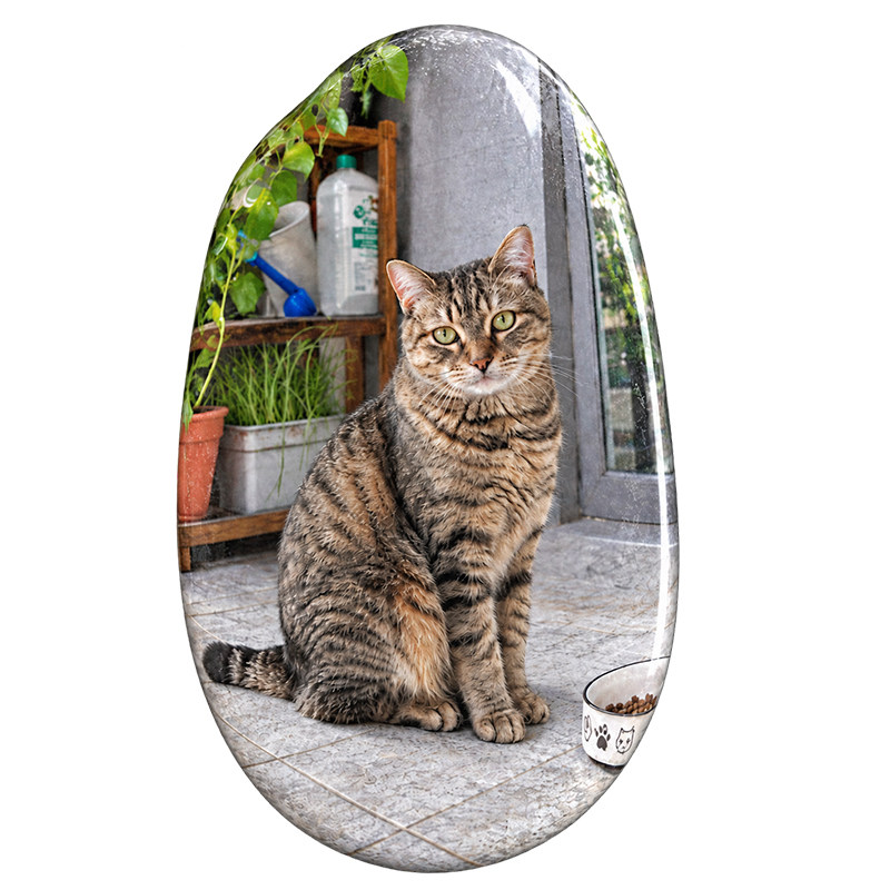 手工制作石头画宠物纪念天然石头画成品猫咪狗狗纪念石摆件永久
