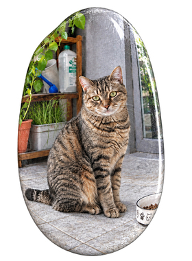 一张照片即可定制宠物猫咪纪念石