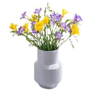 香雪兰鲜花云南直发室内客厅插花真花小苍兰鲜切花带花苞水培花束