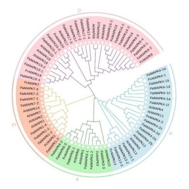 网络药理学孟德尔随机化MR实验外包标书单细胞转录组科研生信分析
