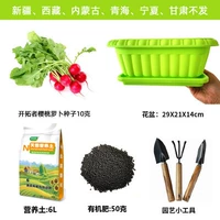 Пакет семян вишневого радио в горшках