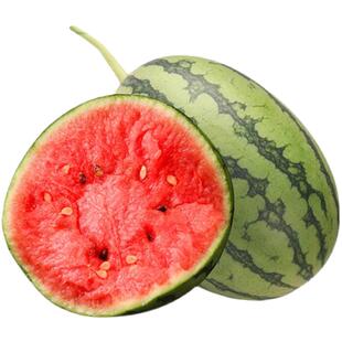 无籽麒麟王8424西瓜种子早熟种籽大果型耐旱美都懒汉甜王瓜种孑