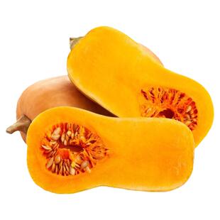 南瓜种子大全奶油南瓜籽种巨型大南瓜超甜小桔瓜籽种贝贝南瓜种籽