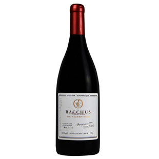 【巴格斯酒庄20周年限量款】二级名庄巴格斯酒庄美乐干红葡萄酒