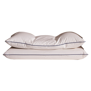 德国irisette白鹅绒枕蝶翼分区枕羽绒侧睡枕头护颈椎