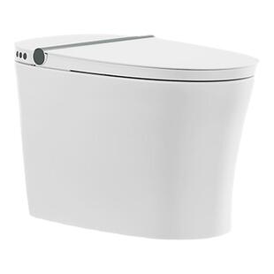 瑞尔特轻智能马桶自动调温久坐提醒防溅泡沫盾一体电动坐便器M30