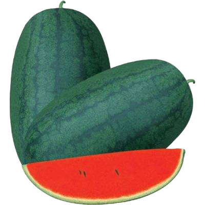 正宗黑美人西瓜种子无籽甜王懒汉