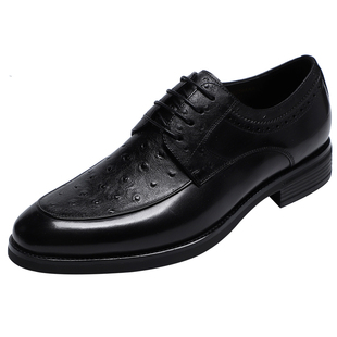 金利来男鞋2024秋季新款专柜正品鞋高端鸵鸟纹系带商务正装皮鞋男